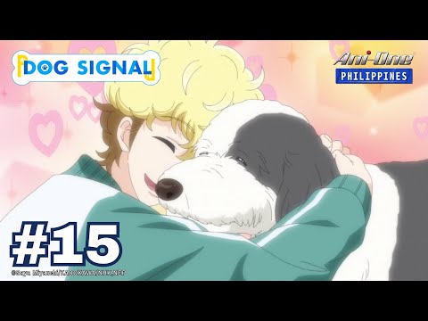 Dog Signal - YouTube