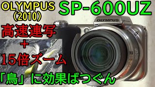 ヤフオク】ジャンク SP-600UZ 動作検証・作例 ただの高倍率じゃない