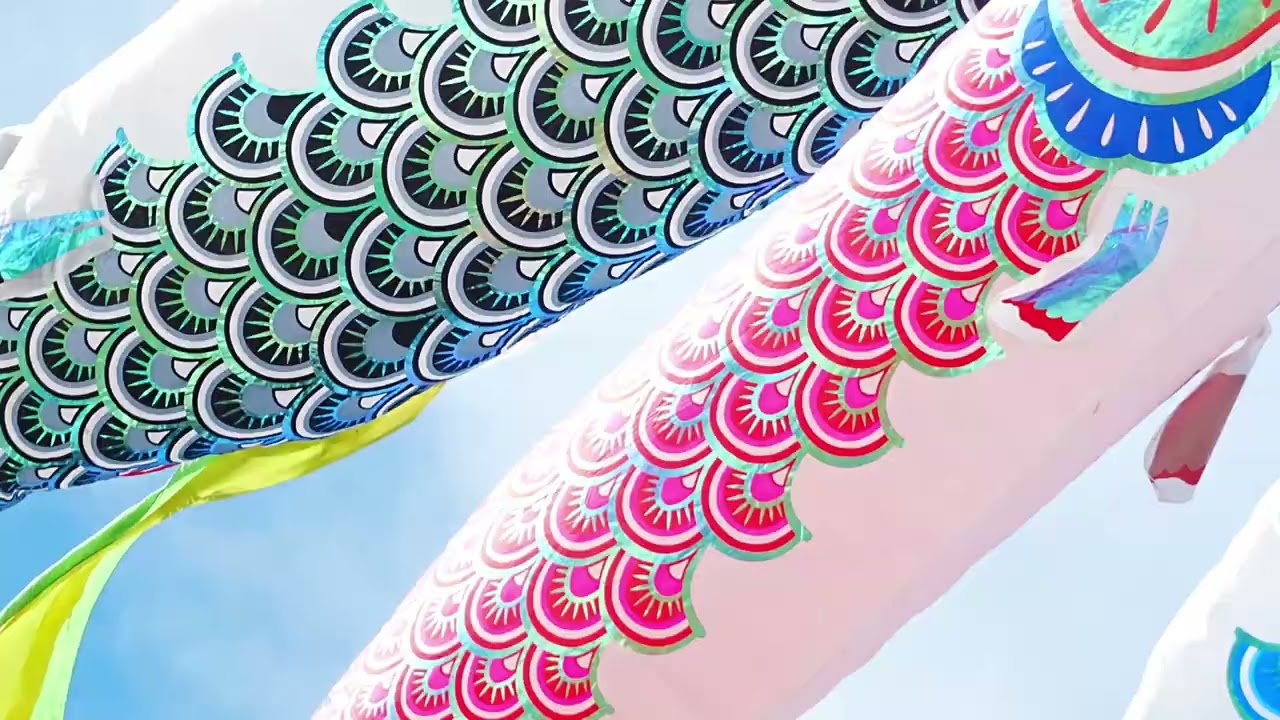 泳がせ動画】フジサワ鯉のぼり 銀河 - YouTube