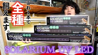 バータイプソラリウムUV LED 400 Petpetzone ゼンスイ 販売 通販
