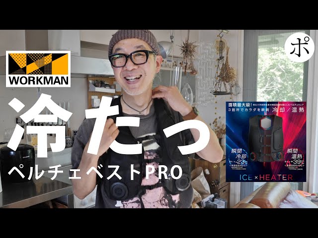 超高額で超高性能】ワークマン新作ペルチェベストPROは買いか