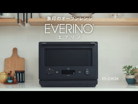Introduction to the features of the EVERINO microwave oven (ES