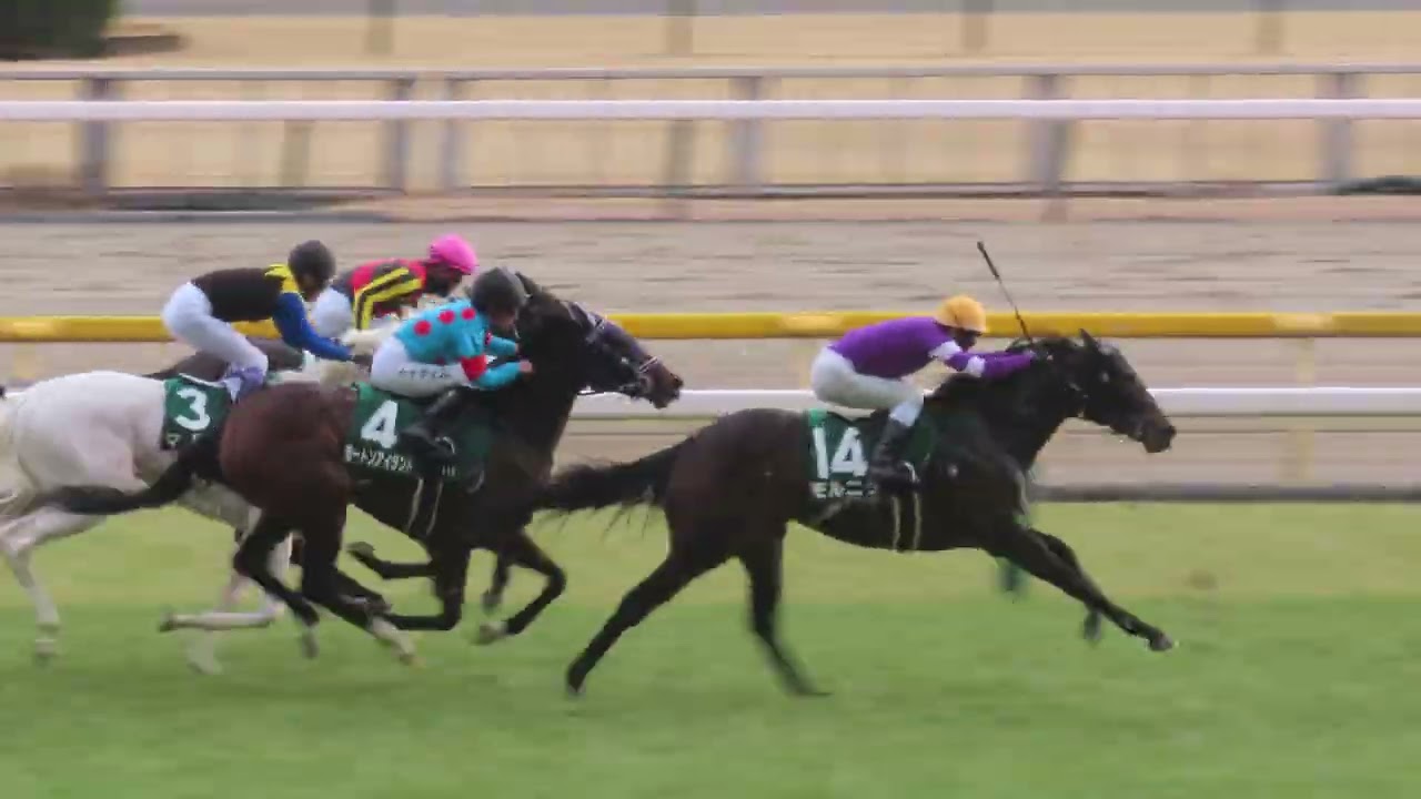 2002年 天皇賞（春）（GⅠ） | マンハッタンカフェ | JRA公式 - YouTube