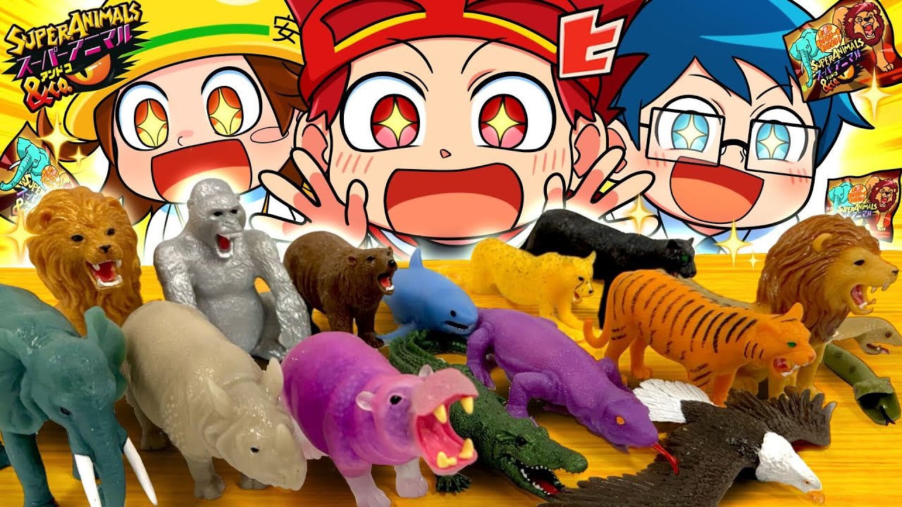 スーパーアニマルフィギュアをコンプリートしたい小学生【アニメ