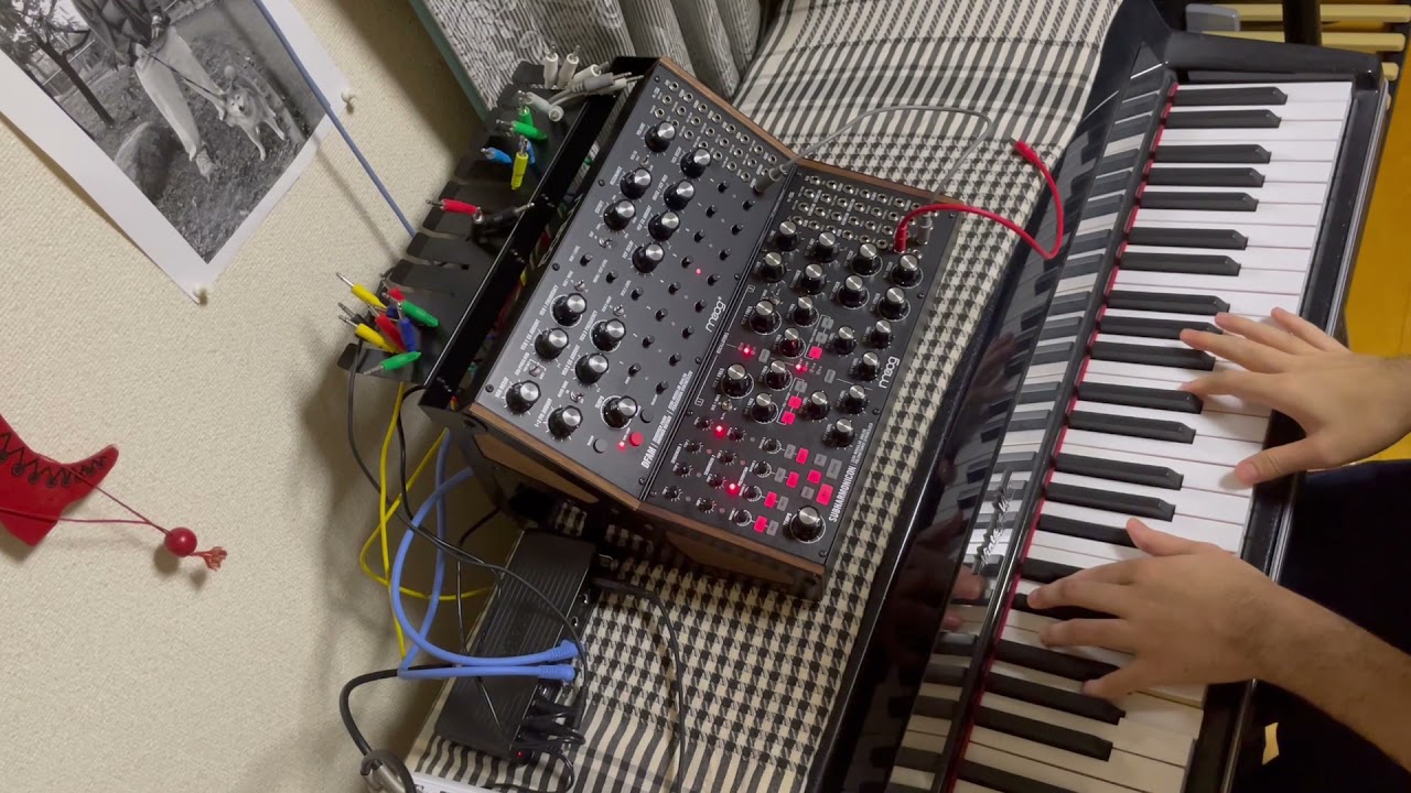 Moog Sound Studio開封レビュー＆演奏動画！ by村上 | Rock oN Company