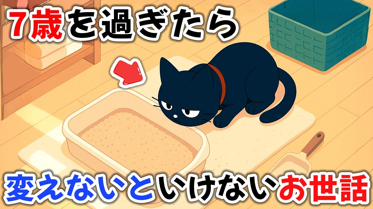 Caring for Senior Cats] 7 Things You Need to Reconsider When Your