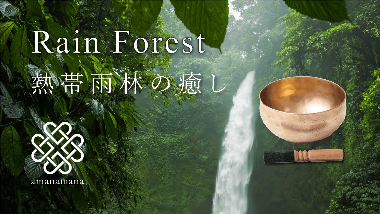 シンギングボウル瞑想・浄化】『瞑想の森』マインドフルネス／睡眠