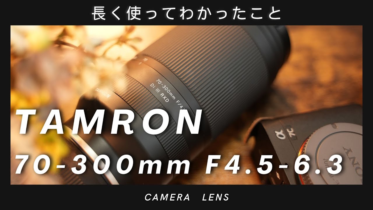 長期レビュー】TAMRON70-300mmF4.5-6.3を使い続けてきてわかったこと