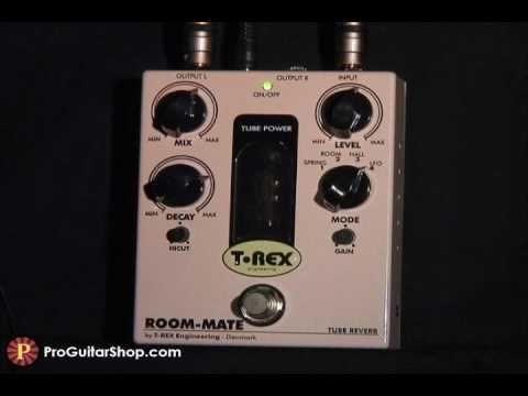 T-Rex RoomMate II - YouTube