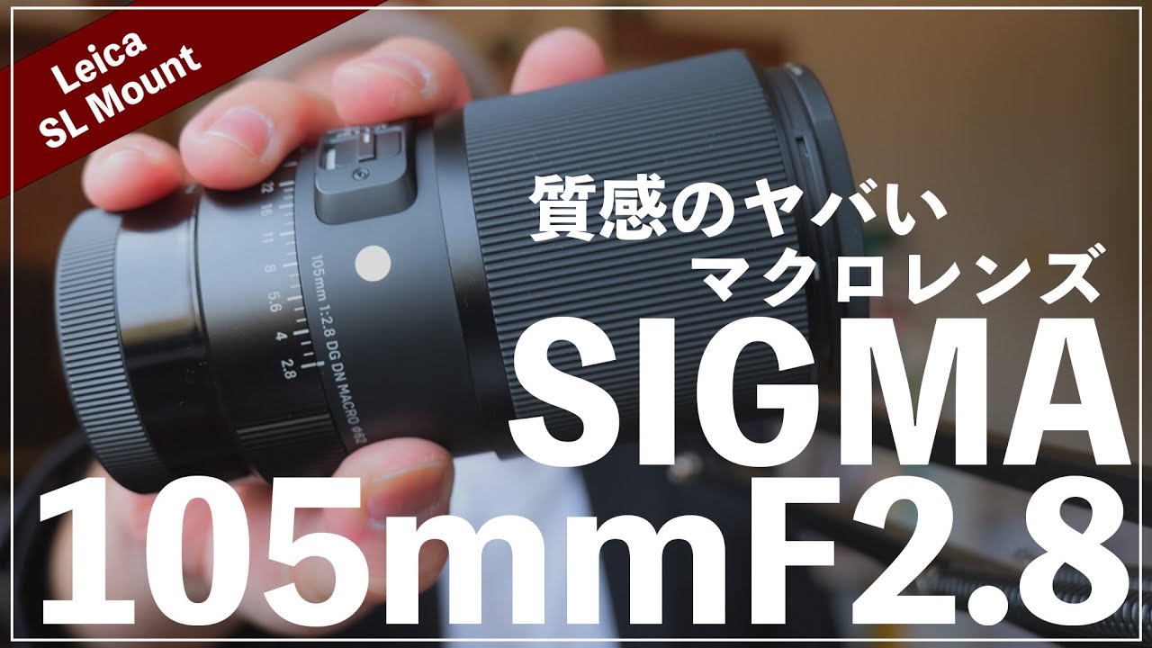 SIGMA105mmF2.8とS5MarkⅡの描写の質感がヤバすぎた。 - YouTube