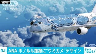 ANA ホノルル線機体デザインに“空飛ぶウミガメ”(18/04/25) - YouTube
