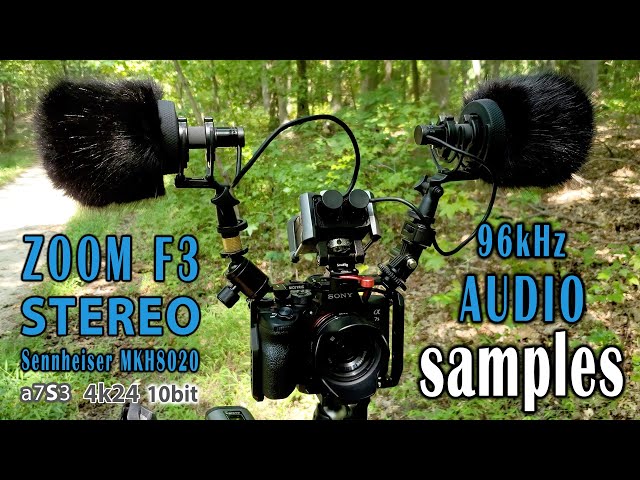 ZoomF3 96kHz + Sennheiser mkh8020 stereo sound samples, nature