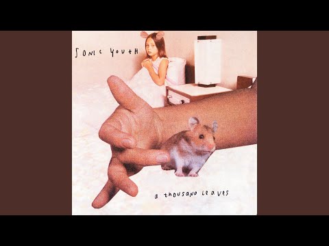 Sonic Youth – A Thousand Leaves – CD (Album), 1998 [r425499] | Discogs