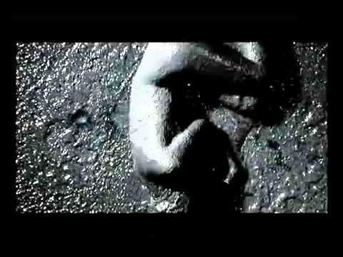 People In The Box、映像作品『Cut Six』（期間限定／完全受注生産豪華