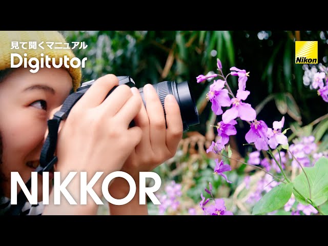 マイクロレンズを使った魅力的な旅行写真 ｜ニコン公式 Digitutor