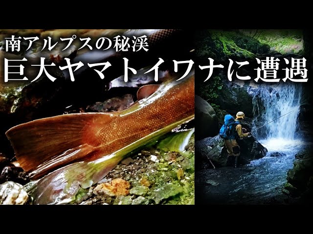 ▽希少 みちのく遊学'97 植野稔の山釣りシリーズ 渓流 釣り 八久和川 ⑤a