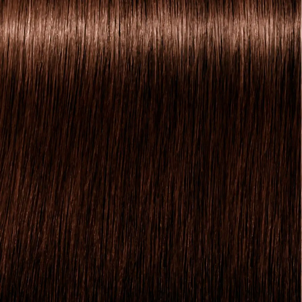 IGORA ROYAL ABSOLUTES 6-60 Schwarzkopf、染毛剤-Perfumes Club