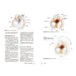 ヨドバシ.com - 弁膜症の手術(心臓血管外科手術エクセレンス〈2