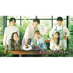 ヨドバシ.com - 恋なんて、本気でやってどうするの? DVD-BOX [DVD