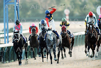 オグリキャップ、ラストランで優勝（1990年12月） TV・出版・報道向け