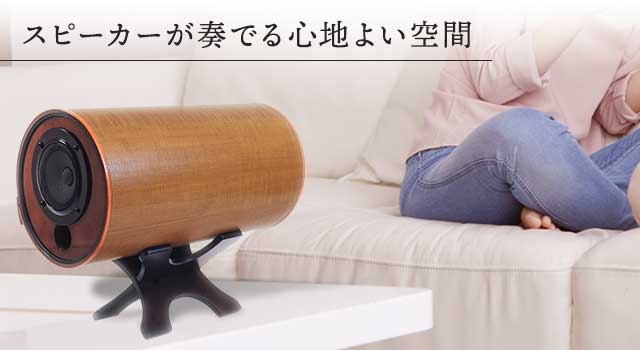 MS1001シリーズ ｜ エムズシステム ｜ 波動スピーカー ｜ 健康通販