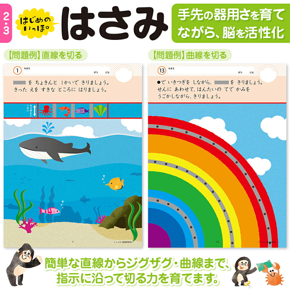 楽天市場】七田プリント 七田式 知力ドリル 2歳 3歳 10冊セット