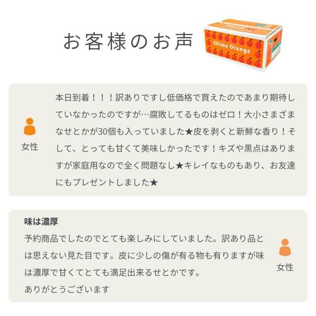 見た目傷あり・大きさ不ぞろいでお値打ち価格の愛媛西宇和産せとか【訳