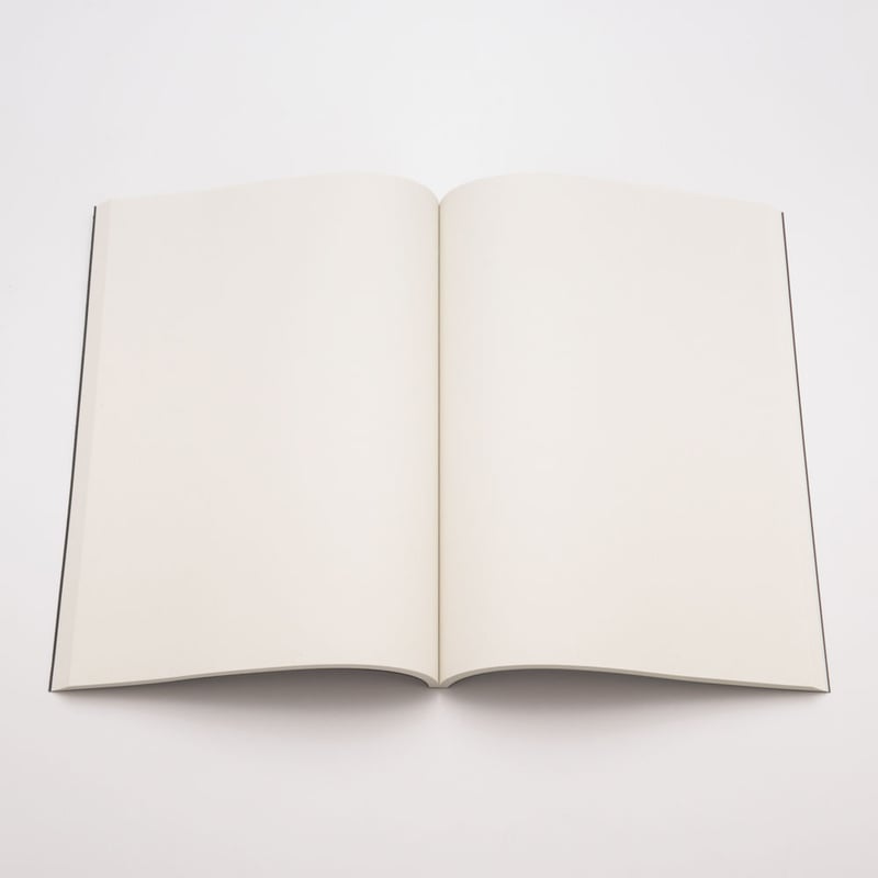 ゴジラvsビオランテ』台本ノート | DREAMPLANETJAPAN INC.