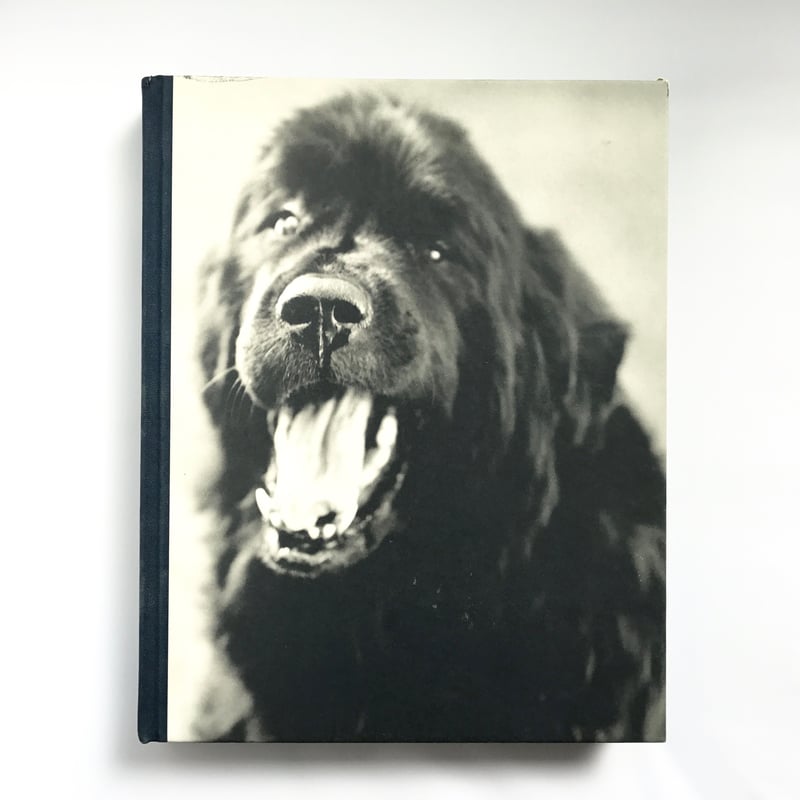 Title/Gentle Giants Author/ Bruce Weber | COWBOOKS