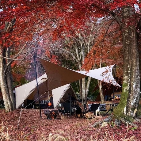 Telo tarp 「looks 」 サンドteloタープ looks ルークス 年一回限定