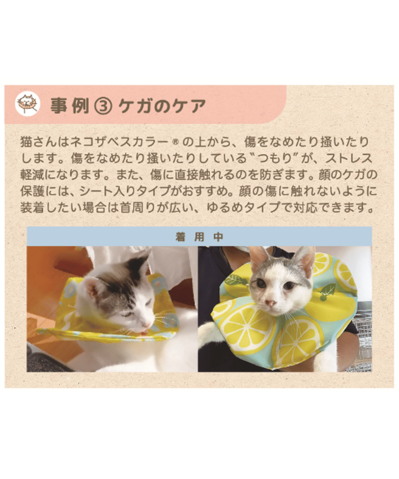 ネコザベスカラー】Lサイズ 標準 | コザクランラン 3/7～8鳥フェス仙台