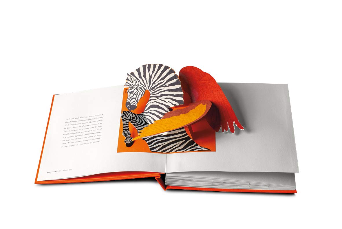 ブランド Pop-up ＃04113 | しかけ絵本専門店 森のかくれんぼ