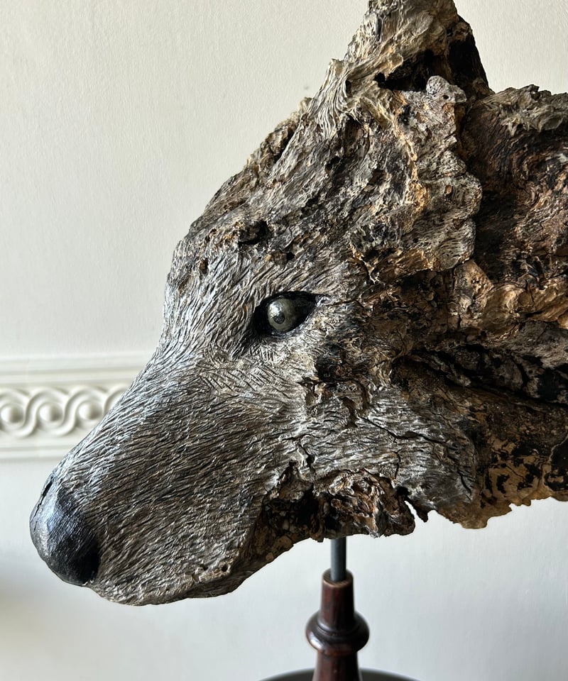 ジム・ブランデンバーグ 直筆サイン入り プリント 写真アート現状品 狼