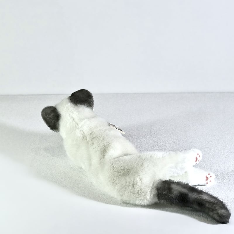 KOSEN/ケーセン ねそべり猫（小） ヒマラヤン | Toy-Toy ONLINESHOP