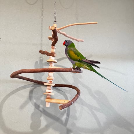 CATEGORY バードアスレチック | 自然木の鳥用品 鳥豆堂【トリマメドウ