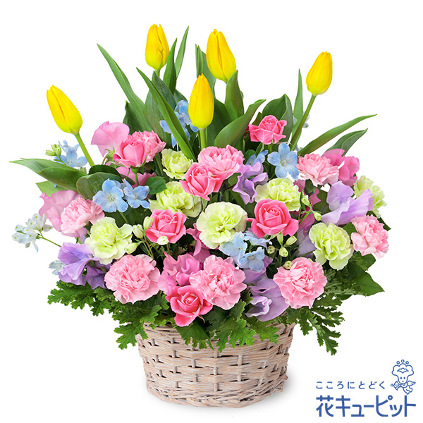 チューリップのミックスアレンジメント - 誕生花 2月（チューリップ