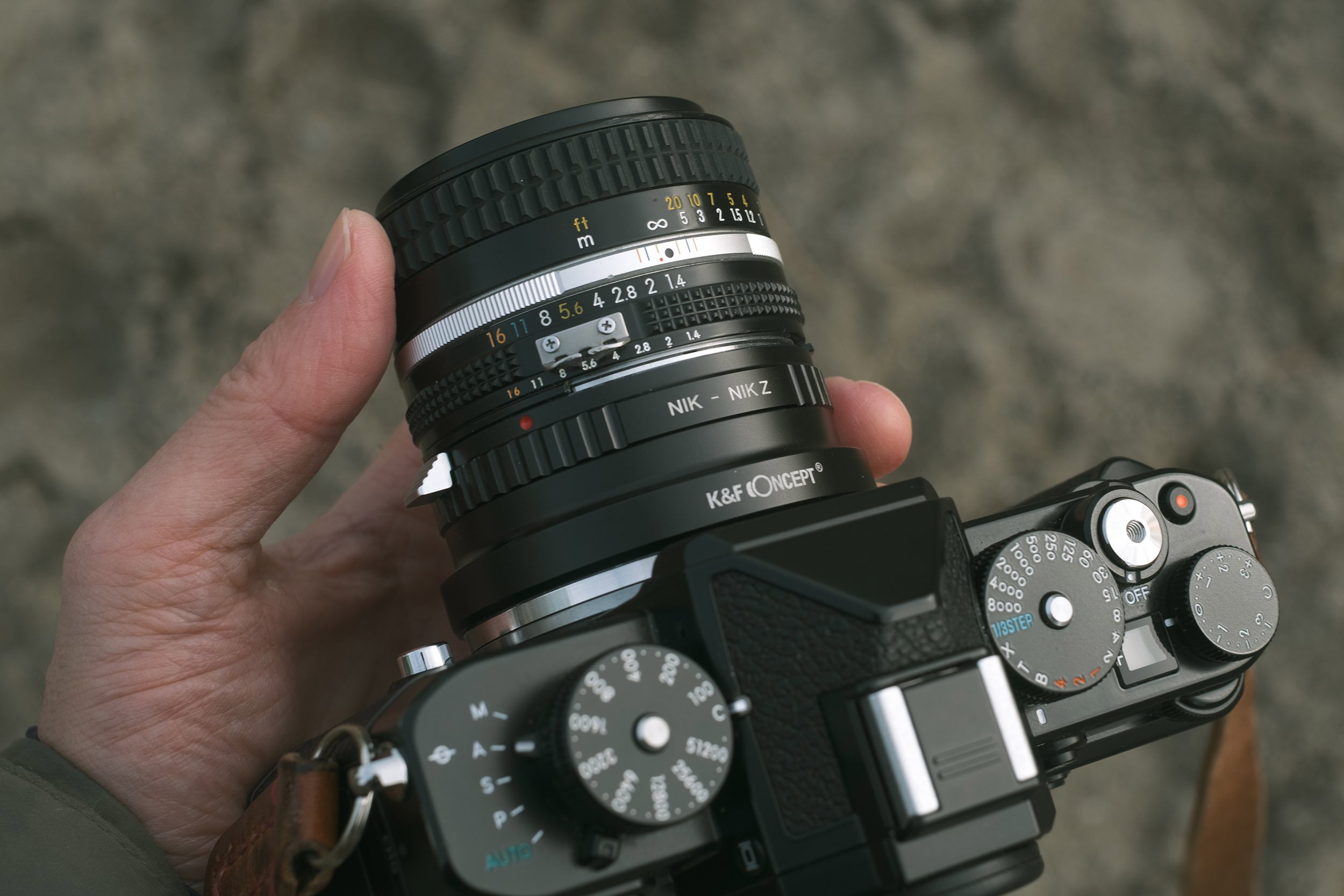 Nikon Nikkor 50mm f/1.4 AI-S and Nikon Zf | 5050 Travelog