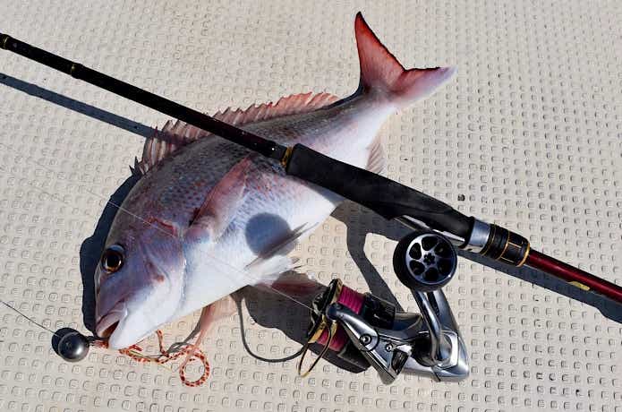 タイラバ】通販で買った激安タングステンヘッドを検証してみた