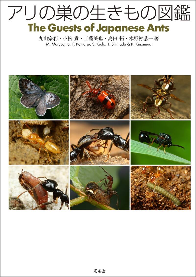 アリの巣の生きもの図鑑』島田拓／小松貴／丸山宗利／工藤誠也／木野村