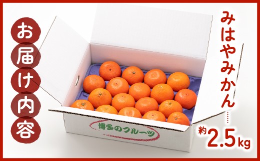 AA088.【希少品種】みはやみかん／約2.5キロ(2026年12月上旬～2027年1