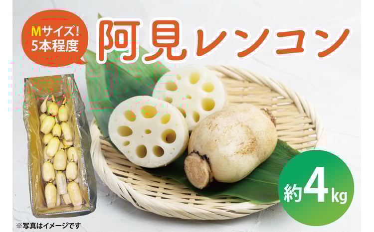 sd1_2ae0a9ed77efdba12c27f29c97