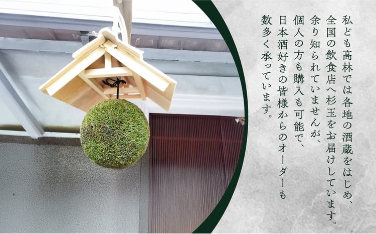 日本酒ライフに彩りを！杉玉直径30cm。自宅やお店のインテリアに