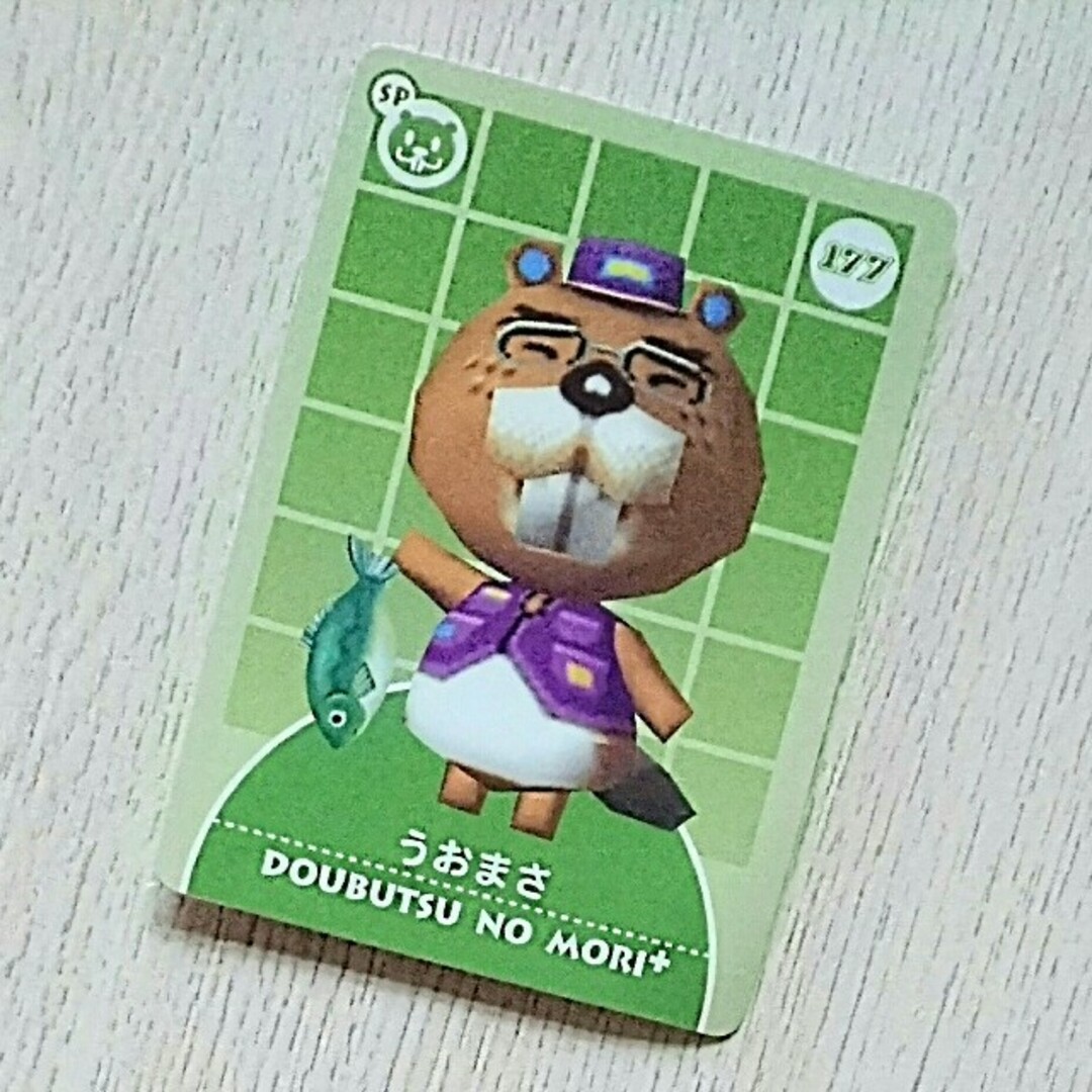 ニンテンドーゲームキューブ - レア☆【どうぶつの森+】うおまさ