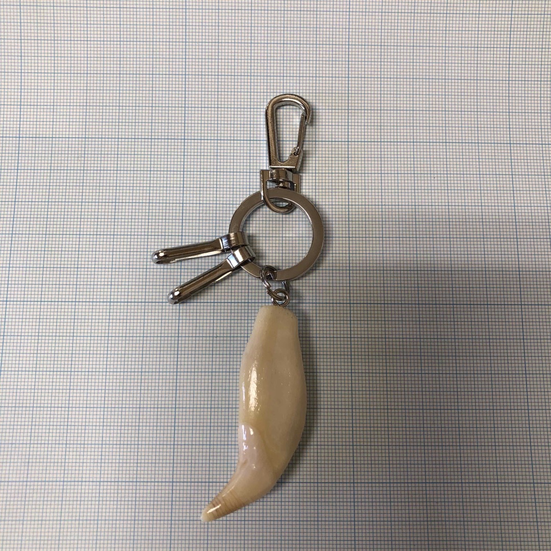 熊の牙（No.1）の通販 by 山のクマさんʕ•ᴥ•ʔ｜ラクマ