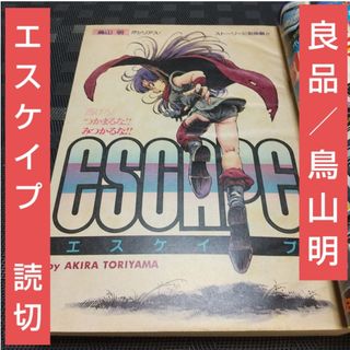 2412333015.jpg?1729949909