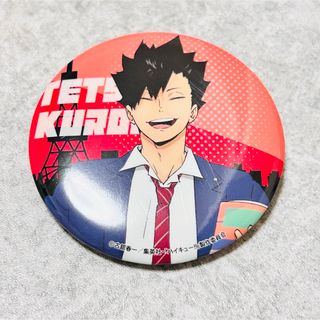 2480909054.jpg?1736739048