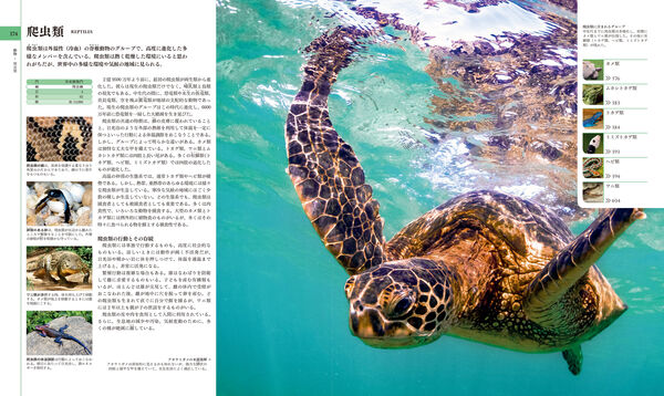 地球博物学大図鑑 新訂版 スミソニアン協会(監修) - 東京書籍 | 版元