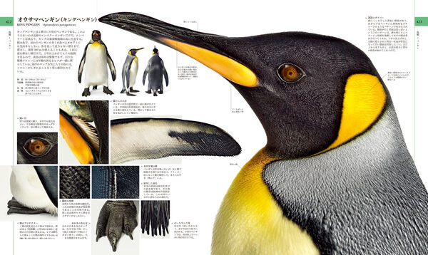 地球博物学大図鑑 新訂版 スミソニアン協会(監修) - 東京書籍 | 版元