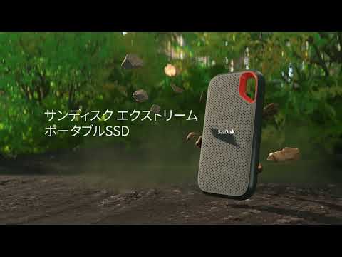 SDSSDE61-4T00-J25 外付けSSD USB-C＋USB-A接続 Extreme Portable SSD