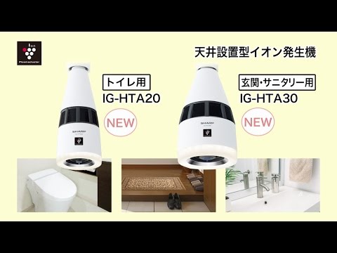 IG-HTA20 エアクリーナー プラズマクラスターイオン発生機 ホワイト系